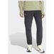 ADIDAS TERREX Sportbroek 'Terrex Xperior CLIMA365' lichtgrijs / zwart