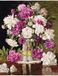 Luca-S Red and White Peonies Petit Point borduren (pakket) G608