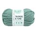 Lion Brand Yarn Wool-Ease Dik en snel garen, zacht en volumineus garen voor breien, haken en knutselen, 1 kluwen, vetplanten