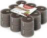 Bolsius - True Scents - Geurtheelichten - 18 stuks per verpakking - Clear cup - Oud Wood