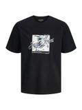 JACK&JONES JJHONOLULU SHAPE TEE SS CREW NECK LN Heren T-shirts