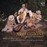 Arpeggione Giorgio Paronuzzi, Martin Zeller, Victor Castillo Luna - Arpeggione, A Forgotten Instrument (CD)