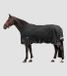 Waldhausen Couverture d'hiver Scandic 300 G Noir Cheval Polyester Imperméable