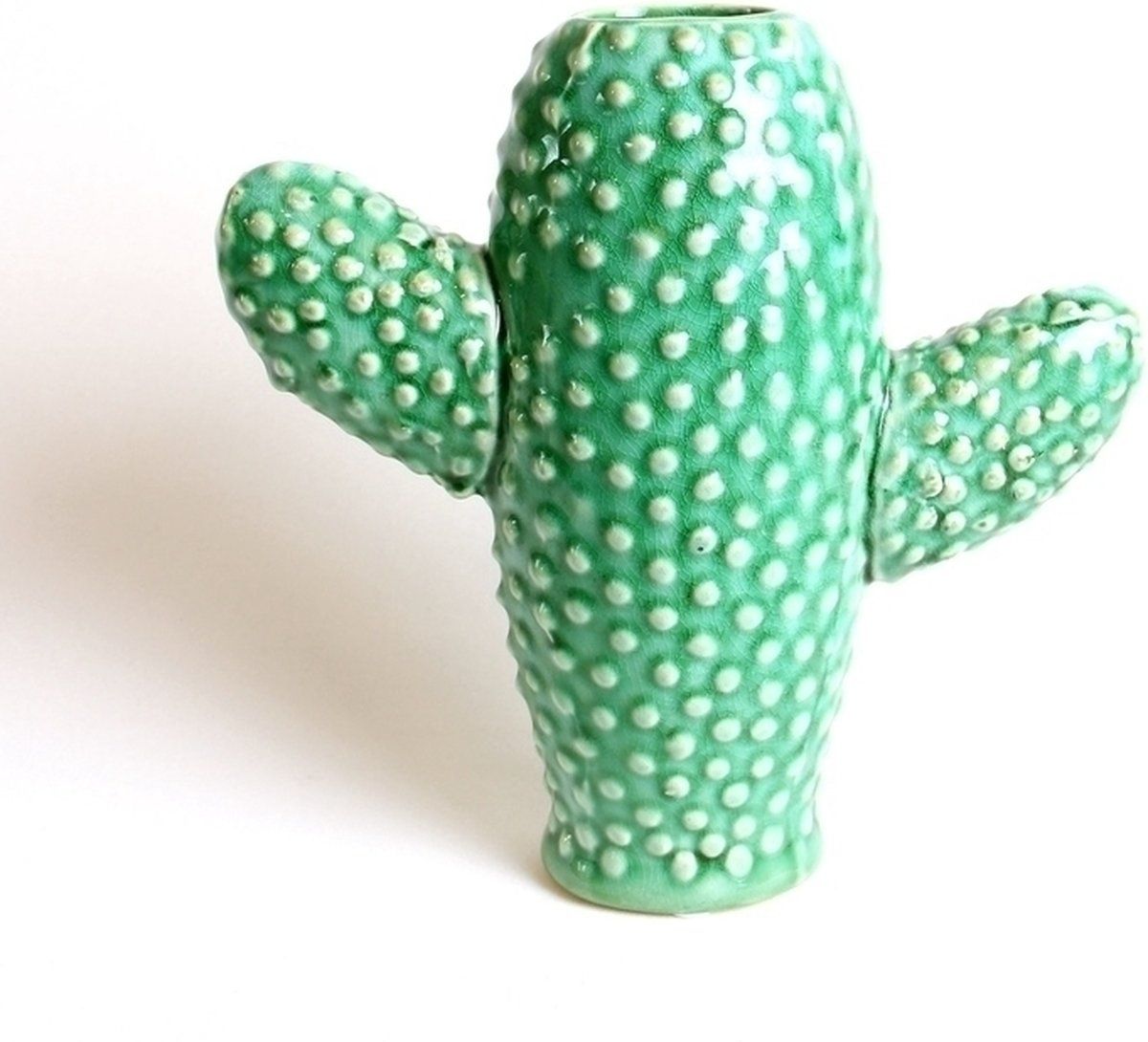 Serax Cactus Vaas - 20 cm