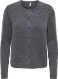 Only Vest Onlolivia Ls O-neck Cardigan Cc Knt 15380550 Dark Grey Melange/dtm Horn Button Dames Maat - XL