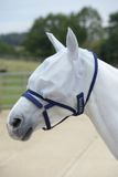Bucas Freedom Vliegmasker L - Zilver