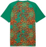 PUMA Maillot Prematch Ivoorkust Coupe du monde 2026 Femme Vert/Brun Imprimé animal Polyester Taille 2XL