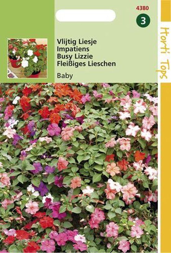 Hortitops Zaden - Impatiens Walleriana Baby Gemengd
