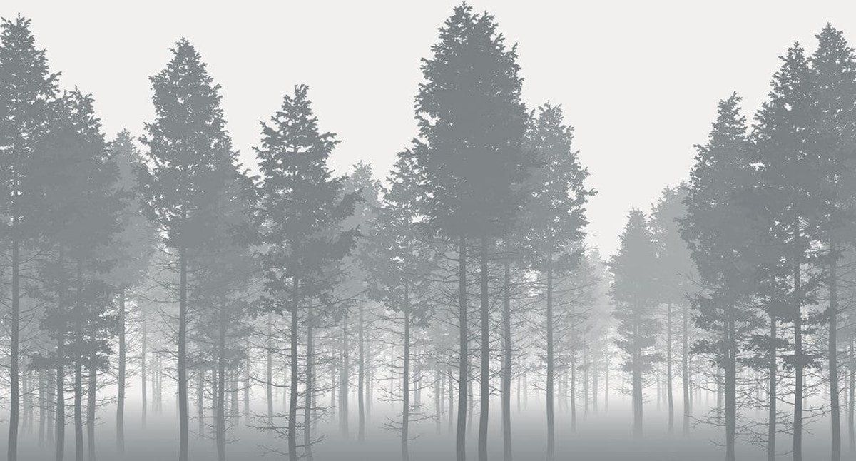 KOMAR Nebula Vlies Fotobehang 350x250cm 7-Banen