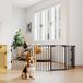 Barrière pliable 5 panneaux pour petits et moyens chiens, métal et plastique, 300x3x74.5 cm, noir
