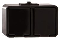 Schneider Hermetische dubbele stopcontactdoos van cederhout, met/zonder 16A, IP44, zwart, model Nt-230H, artikelnummer NT230H05