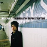 Konkurrent Jesse Malin - The Fine Art Of Self Destruction (CD)