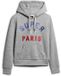 Superdry Glitter Graphic Logo Hoodie Grijs S Vrouw