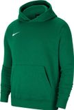 Nike Park 20 Fleece Hoodie Junior Groen