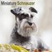 Miniature Schnauzer Wall