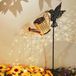 Wan GmbH Lampes d'arrosage solaires Fairy - Lampes de jardin décoratives pour l'extérieur