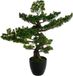 Atmosphera bonsai boom - in keramische pot - 80 cm - kunstplant - groen