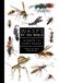 Wasps Princeton University Press A Guide to Every Family: Wasps of the World Hardcover