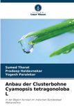 Anbau Verlag Unser Wissen Anbau der Clusterbohne Cyamopsis tetragonoloba L