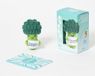 Coffret Les amis grigris Brocoli: Coffret avec 1 amigurimi et 1 livre de conseils bien-être