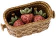 Ferplast Veggie Bites Berry - Knaagdiersnack