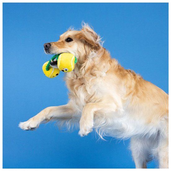 Fringe Game. Set. Match. Pluche Textiel Hond Geel
