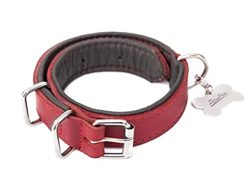 PillowPrim Hondenhalsband leer, halsband, leer, leren halsband hond, metalen gesp, 55 x 2,5 cm, rood