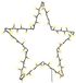 vidaXL Kerstverlichting ster silhouet 80 leds warm wit