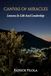 Canvas of Miracles: Lessons in Life and Leadership