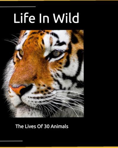 Life In Wild: Explore the lives of 30 animals across the world!