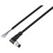 TRU COMPONENTS TRU COMPONENTS TC-13751856 Aansluitkabel M8 x 1 Aantal polen (sensoren): 3 Stekker, haaks 10 m 1 stuk(s)
