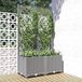 Maison Exclusive - Jardinière avec treillis, gris clair, 80 x 40 x 136 cm, PP