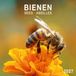 Tushita Bees - Bijen Kalender 2027