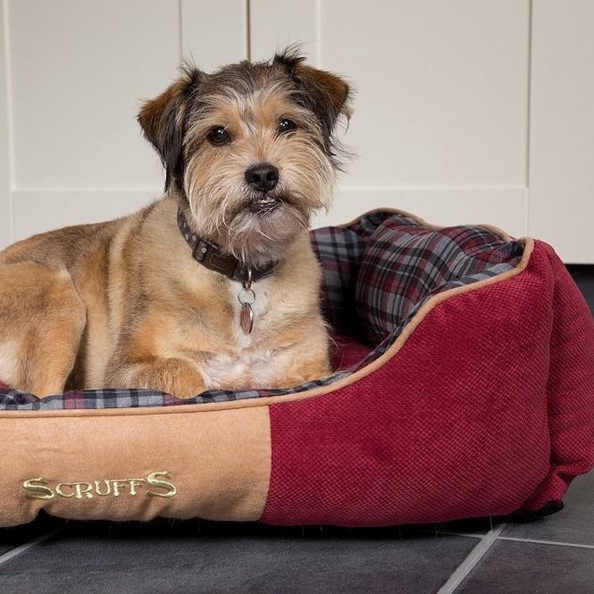 Scruffs Stevige Hondenmand van Hoogwaardige Chenille stof met anti-slip onderzijde - Highland Box Bed - Blauw, Rood of Grijs in S/M/L/XL - Kleur: Grijs, Maat: Extra Large grijs
