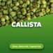 Callista Houblon en pellets 5 kg