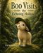 Boo Visits the Echoing Hollow