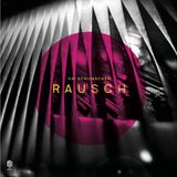 Brilliant Classics Neue Meister Kai Schumacher - Rausch (LP)