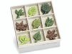 KnorrPrandell Houten kist met vilten ornamenten bladeren 22 mm, hout, meerkleurig