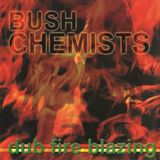Bush Chemists - Dub Fire Blazing (LP)