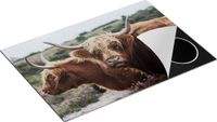 Chefcare Inductie Beschermer Twee Schotse Hooglander Koeien - 75x50 cm - Multicolor