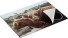 Chefcare Inductie Beschermer Twee Schotse Hooglander Koeien - 75x50 cm - Multicolor