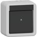 GIRA 310730 Wisselschakelaar, kruisbediening, voor wandmontage, IP44, grijs