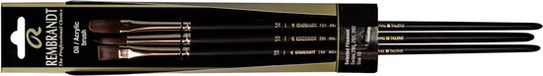 Rembrant talens Rembrandt Olie/Acryl Penselen Set Serie 290/291-292 3 Stuks