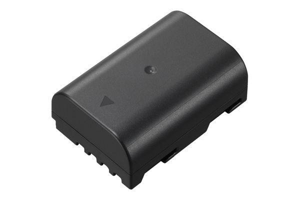 Panasonic DMW-BLF19 - Accu - 1860 mAh - Li-Ion - voor Spiegelreflexcamera