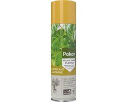 Pokon Bladglans - 250ml - Bladglans voor kamerplanten