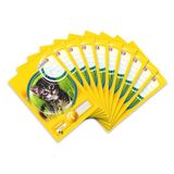 Landré Schoolblok A5, liniatuur 1, gelinieerd (1e klasse), 50 vellen, 80 g/m², 10 stuks