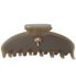 Fan Palm Fan Palm Clips pour cheveux Huître