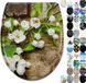 WC Bril - Premium WC Bril - Toiletdeksel - toilet seat - Premium Toilet Seat - Toilet Seats Toilet Lid - Amerikaans - 0% tot 49% Gerecycled Tencel