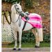 Horseware Newmarket Couverture pour cheval