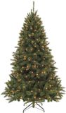 Triumph Tree Bristlecone Kunstboom - 155 cm - Groen